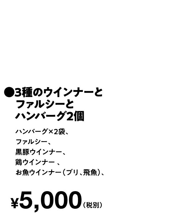 ●３種のウインナーとファルシーとハンバーグ2個　¥5,000（税込）