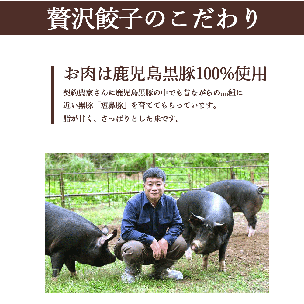 鹿児島黒豚100%使用 鹿児島黒豚短鼻豚