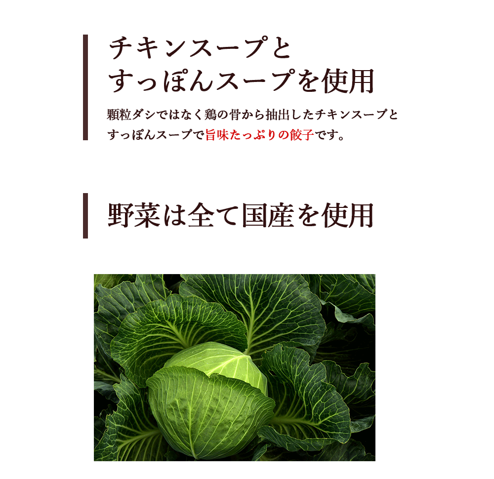 チキンスープとすっぽんスープで旨味たっぷり餃子 鹿児島黒豚餃子