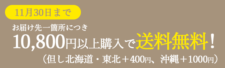 送料無料キャンペーン