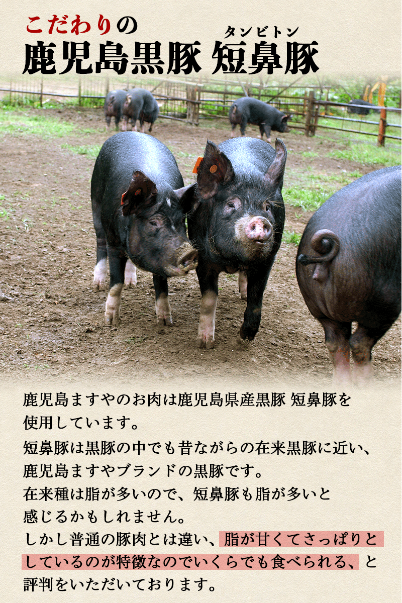 こだわり鹿児島黒豚短鼻豚