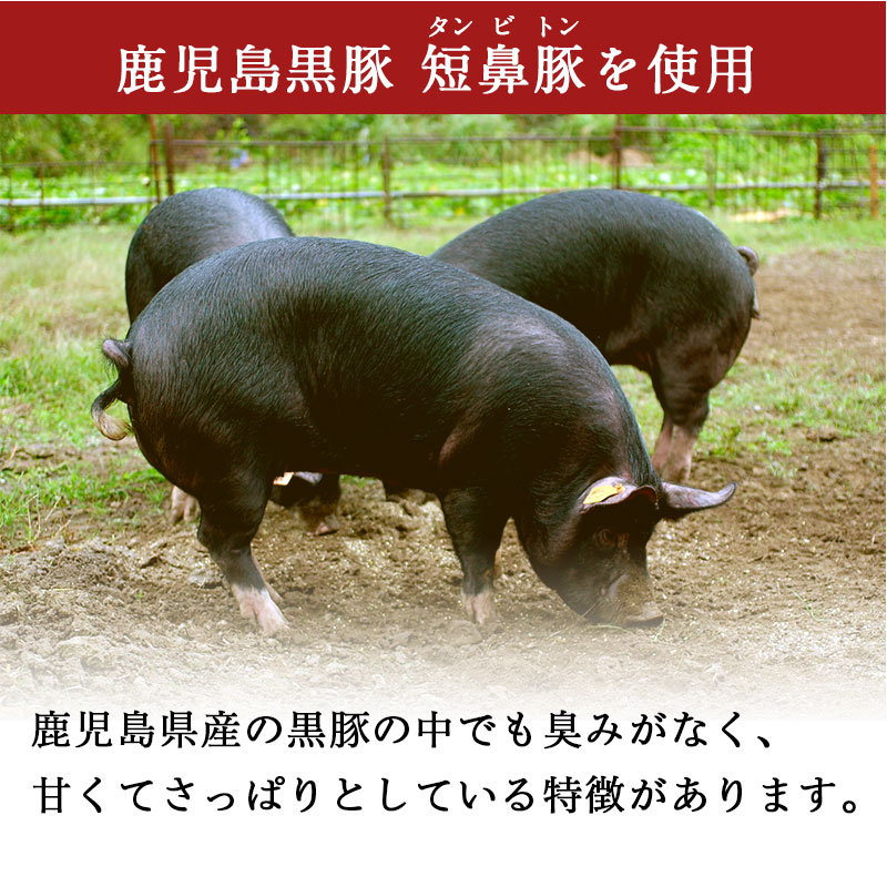 鹿児島黒豚短鼻豚を使用